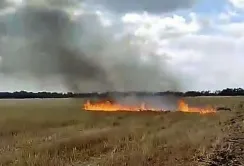 На Миколаївщині впіймали «на гарячому» фермера-палія