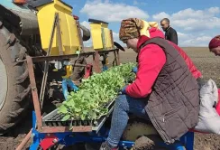 Овочі замість зернових: фермер з Волині шукає прибуткову нішу