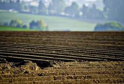 Фермерам доводиться купувати землю, щоб захистити свій бізнес