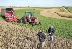 Фермери-початківці можуть взяти участь в програмі обміну досвідом у Європі