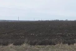 Фермери Полтавщини вимагають змінити критерії бронювання для агропідприємств