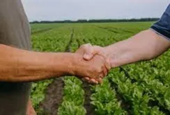 Фермерські господарства перереєструють за спрощеною процедурою