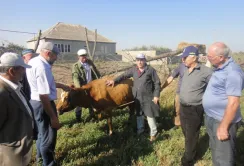 Ветеринари АВМ навчають як протистояти вірусу ЗВД
