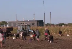 Новий бюджет передбачає додаткову фінансову допомогу фермерам