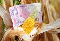 Аграріям потрібні додаткові джерела фінансування, – Денис Марчук