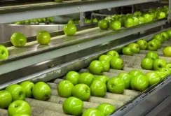 USAID АГРО надасть 367 млн грн для фінансування проєктів з переробки сільгосппродукції