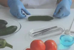 Житомирська лабораторія отримала повноваження на проведення фітосанітарної експертизи