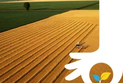 FMC зберігає стабільну позицію на ринку та продовжує підтримувати українських аграріїв