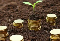 В Україні запрацював Фонд часткового гарантування кредитів у сільському господарстві
