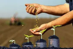 Фонд часткового гарантування кредитів проведе для фермерів роз’яснювальні зустрічі щодо бізнес-планів
