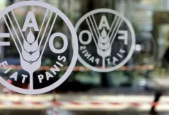 FAO підтримає кооперативний рух у Луганській і Донецькій областях