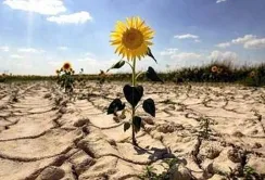 Підтримка Франції щодо впровадження рішень для боротьби з посухою особливо актуальна, – Тарас Висоцький