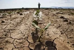 У Франції можуть ввести обмеження на споживання води для фермерів