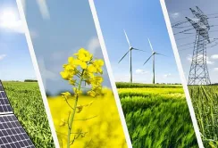 Відключення електроенергії: не всі аграрії мають кошти на власну генерацію
