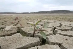 В Україні фіксують гідрологічну посуху через відсутність весняного водопілля