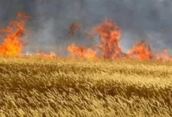 Фермерів Херсонщини закликали палити свої поля