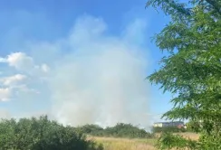Через необережне поводження з вогнем на Одещині горять фруктові сади