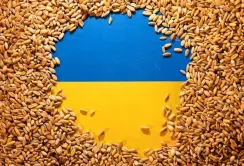 Україна в рамках ініціативи Grain from Ukraine готує відправлення до країн Африки ще 30 тис. тонн зерна