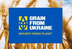 Уряд виділив кошти на фінансування ініціативи Президента Grain from Ukraine