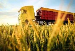 Grain from Ukraine: ВПП прагне купувати готову продукцію