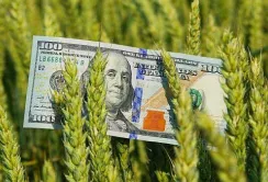В ДАР приймають заявки на отримання грантів для агровиробників