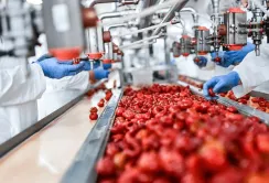 Ще 22 підприємства отримають гранти на розвиток переробної промисловості