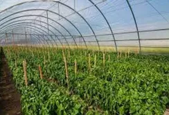 Ще 24 господарства отримали грантів на 68 млн грн