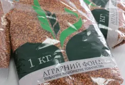 "Аграрний фонд" продаватиме гречку під власною ТМ