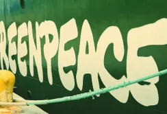 Деякі ініціативи Greenpeace відверто шкодять розвитку сільського господарства