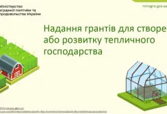 Механізми надання грантів для садівництва та тепличного господарства, – відео