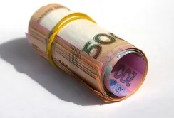Дотації для агрохолдингів обмежать до 150 млн "в одні руки" з 2018 р.
