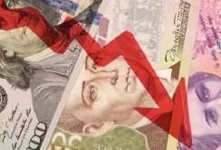 Девальвація гривні вплине на вартість посівної компанії, - НАБУ