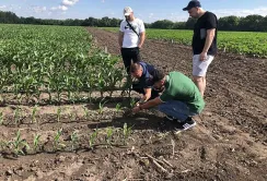 Corteva Agriscience заклала 10 навчальних майданчиків в 2022 році