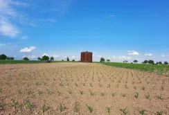 Corteva Agriscience розширила програму польових досліджень