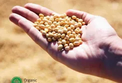 Група АГРОТРЕЙД сертифікує продукцію для продажу в ЄС