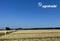 Найврожайніші культури Групи АГРОТРЕЙД 2022 року