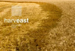 HarvEast робить ставку на бобові