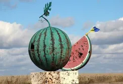 На Херсонщині засадили кавунами 570 гектарів