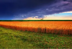 Аграрії просять Уряд вивести їх з тіні