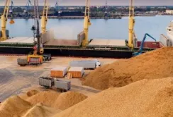 Хорватія не буде імпортувати зерно з України