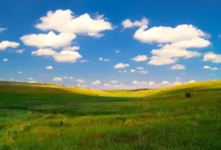 Сільрада на Миколаївщині передала заповідні землі у приватну власність