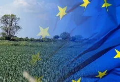 Інтеграція агросектору України в ринок ЄС потребуватиме реформи сільськогосподарської політики, – підсумки семінару