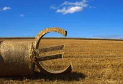 Україна закликала Францію інвестувати в українську переробну промисловість