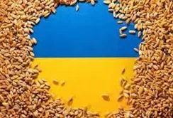 П'ять країн ЄС благають Єврокомісію врятувати їх від української агропродукції
