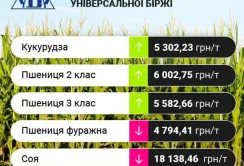 Проміжні підсумки цінових індикативів 14-16 серпня