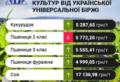 Цінові індикативи зернових та олійних за минулий тиждень