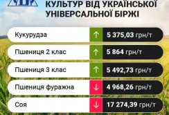 Цінові індикативи зернових та олійних за минулий тиждень