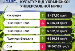 Цінові індикативи зернових та олійних за 14 – 20 серпня