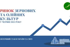 Підсумки червня на ринку зернових та олійних
