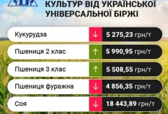 Тренд ринку за минулий тиждень на зернові та олійні
